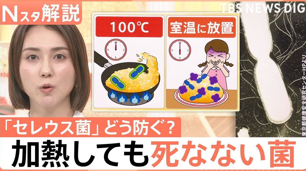 熱に強い菌 チャーハン症候群注意
