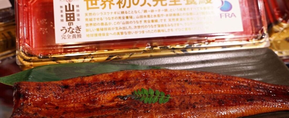 イオン 完全養殖ウナギを試験販売