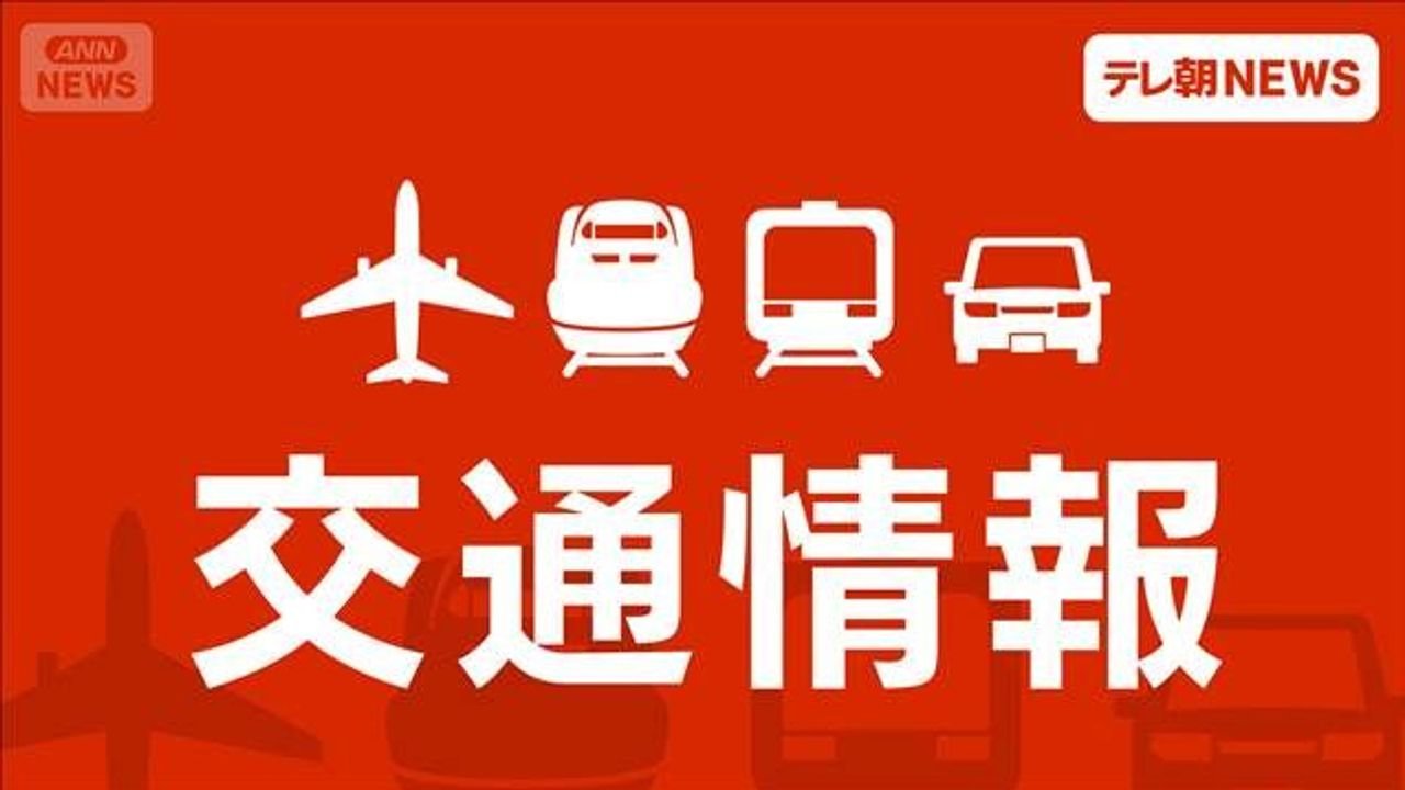 JALとANA 台風で計260便以上欠航