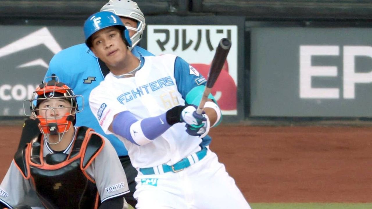 日ハム・万波 141m特大弾に興奮