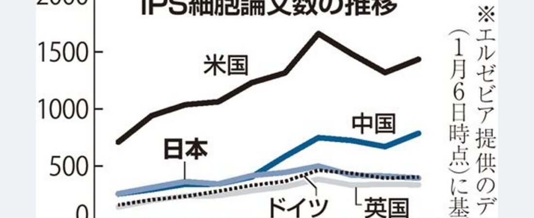iPS論文数 米国や中国との差拡大