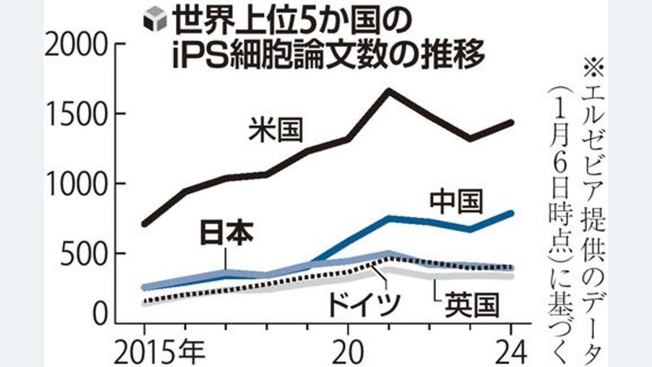iPS論文数 米国や中国との差拡大