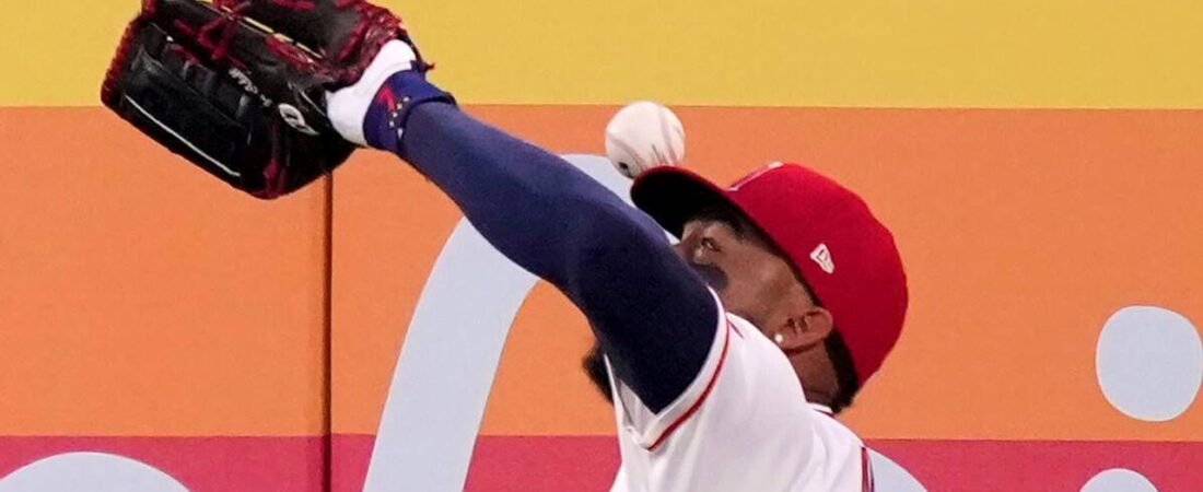 飛球が頭直撃してホームラン MLB