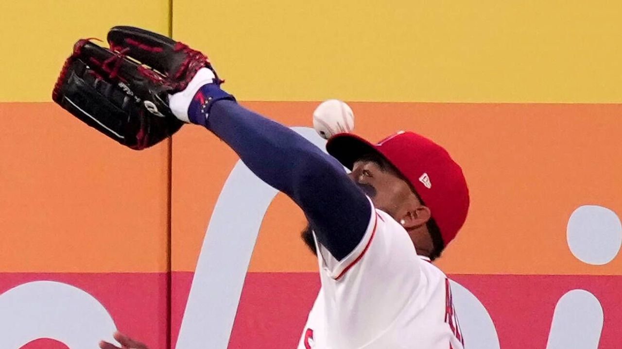 飛球が頭直撃してホームラン MLB