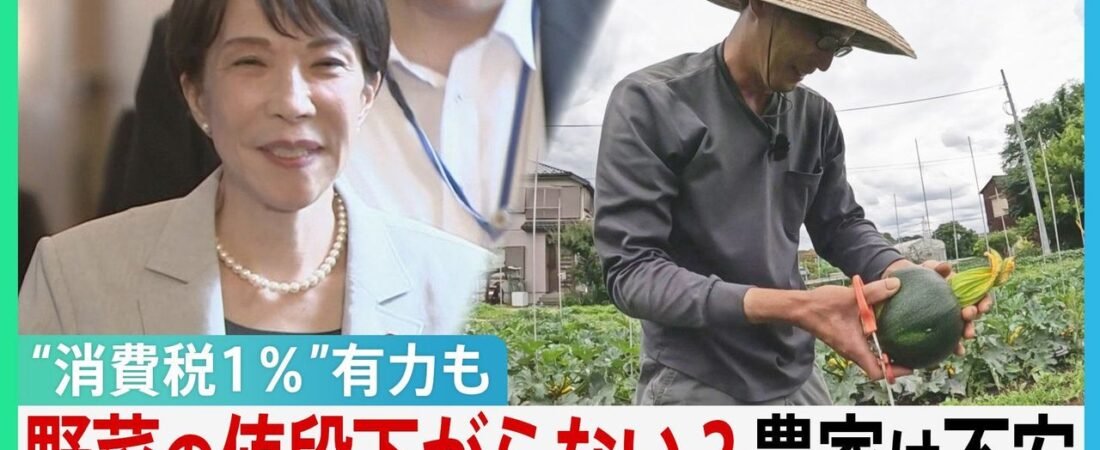 消費減税で収益悪化か 農家の不安