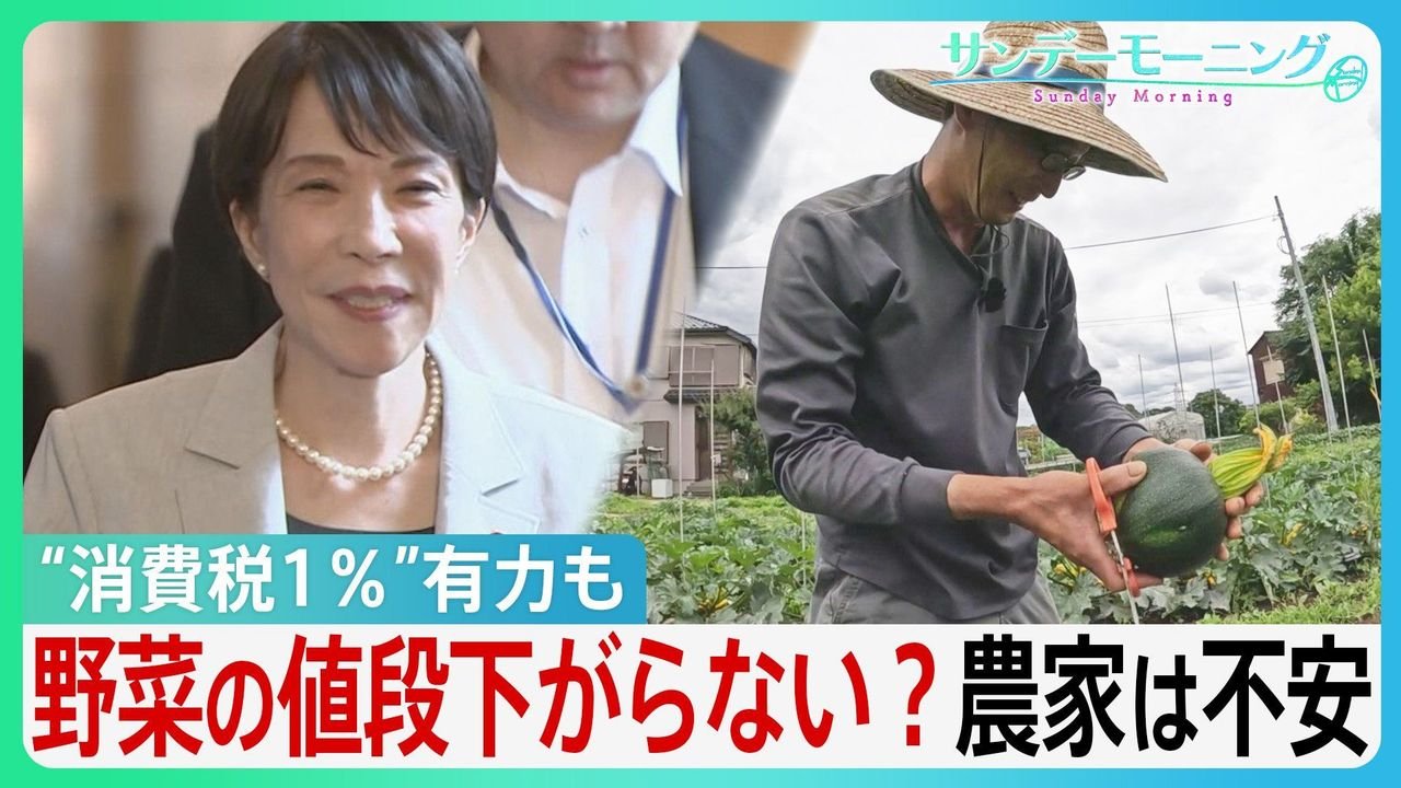 消費減税で収益悪化か 農家の不安