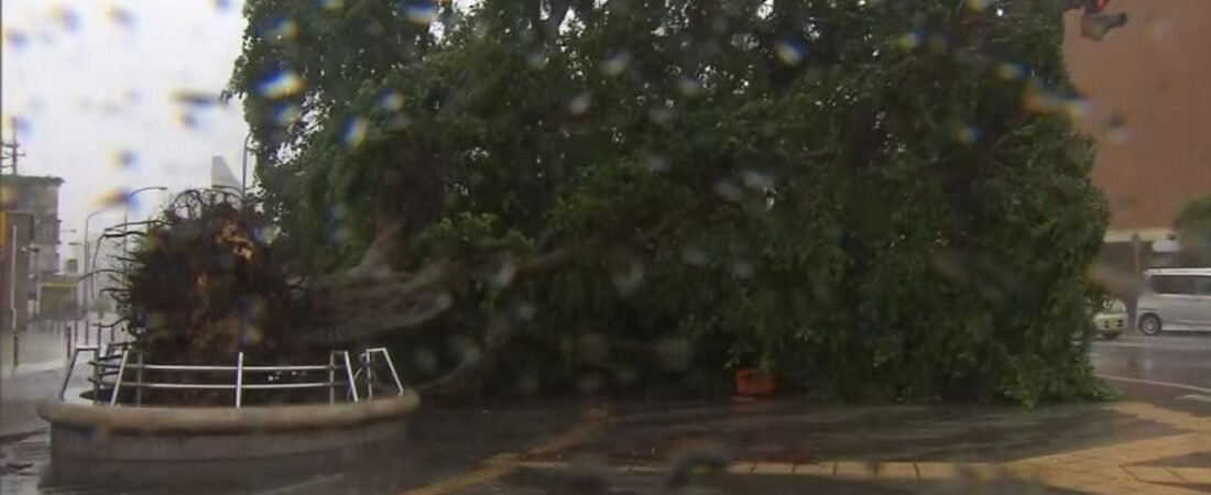 台風 沖縄で少なくとも12人けが