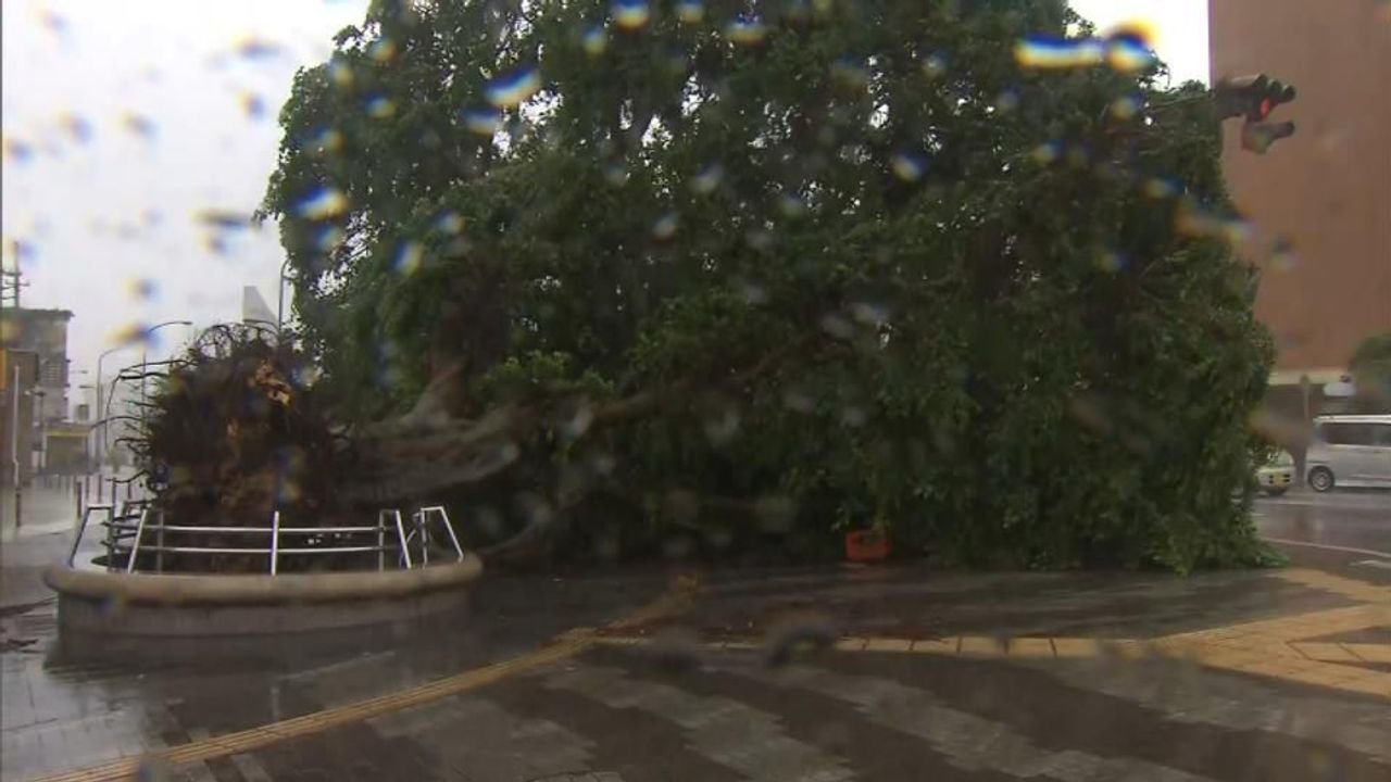 台風 沖縄で少なくとも12人けが