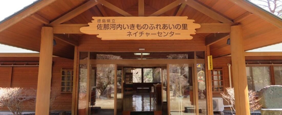 赤いクワガタ? 毒ある体液に注意