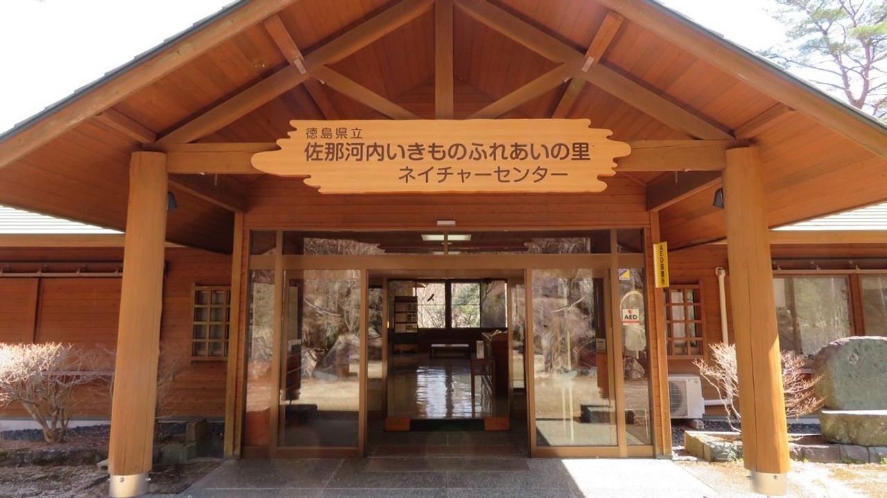 赤いクワガタ? 毒ある体液に注意