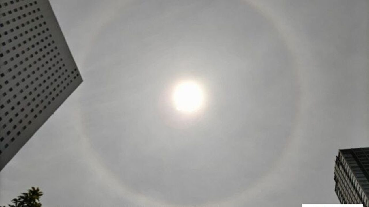 東京都心の空に現象「ハロ」出現