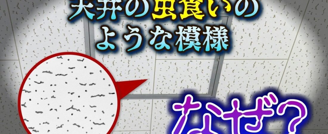虫食いのような天井の模様 正体は