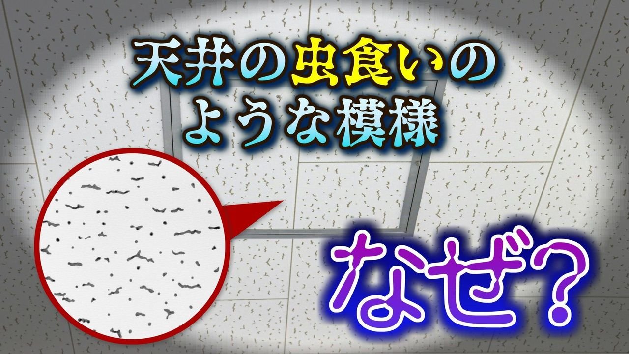 虫食いのような天井の模様 正体は