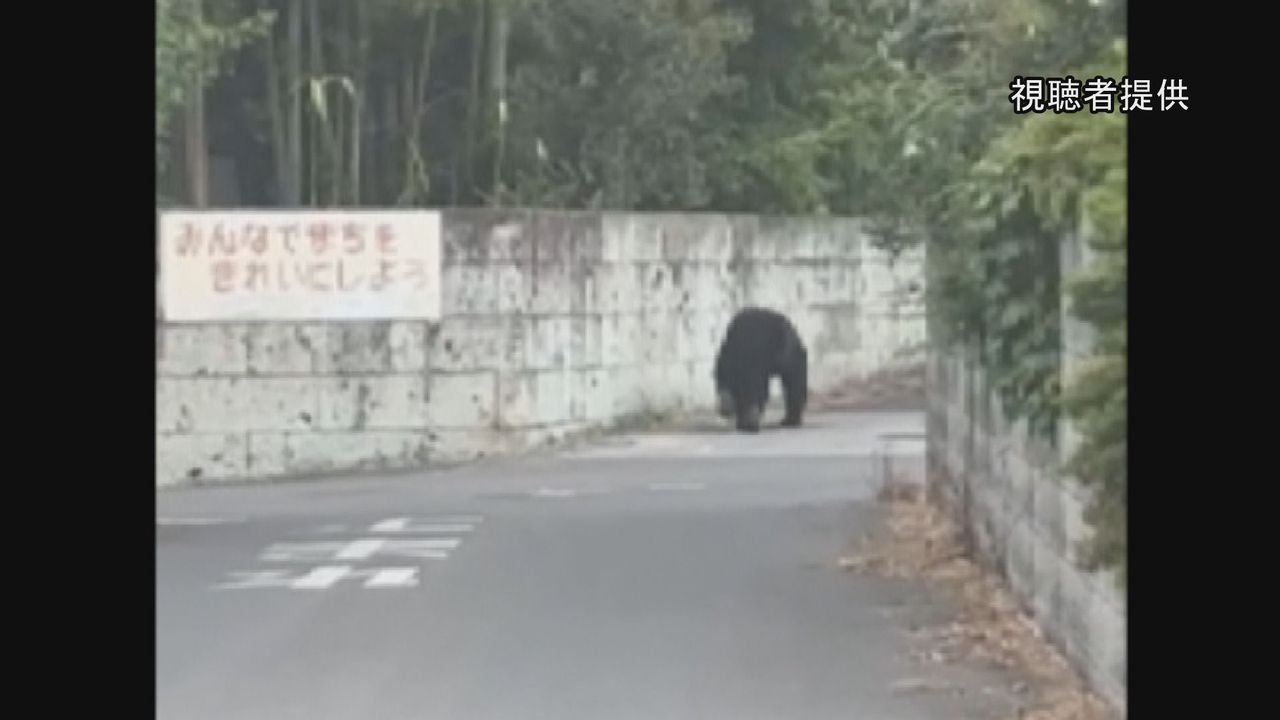 クマ 宇都宮市立の全小中学休校