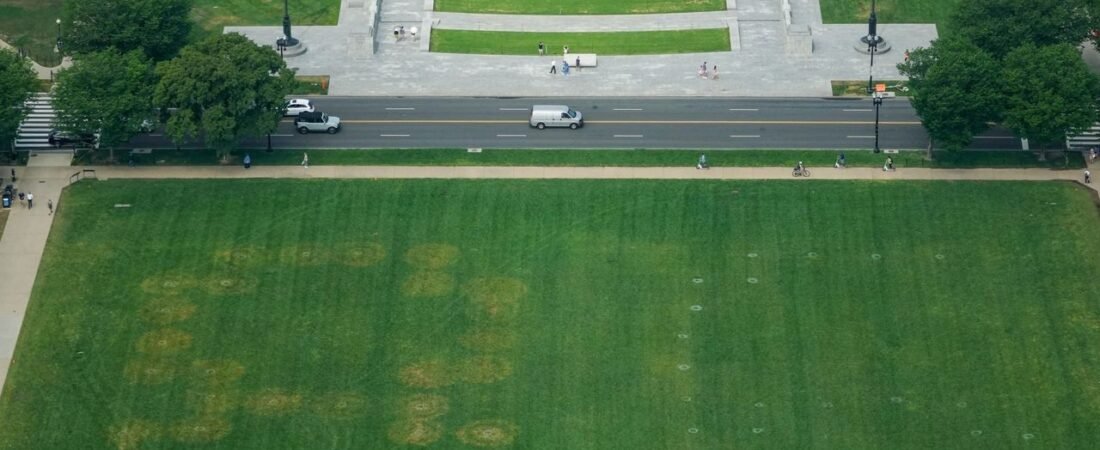 米首都公園に不審な暗号 当局調査
