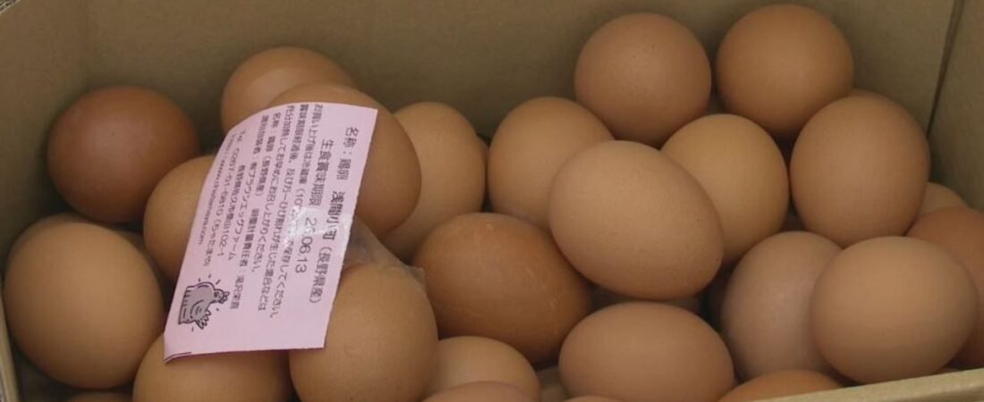 2万羽が焼け死んだ養鶏場 客続々