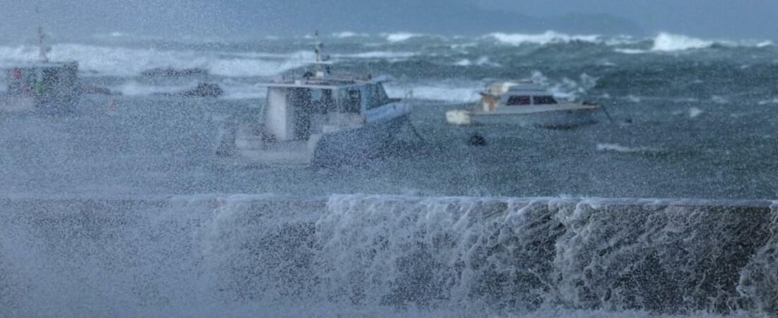 NZ首都に11mの高波 数百人が避難