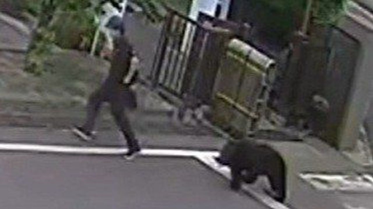 クマが工場脱出 自ら窓開けたか