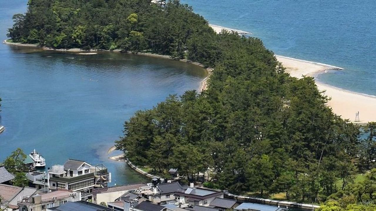 天橋立でクマ出没 麻酔銃撃ち捕獲